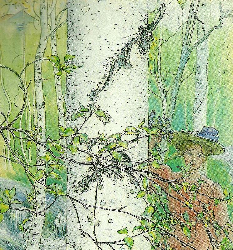 Carl Larsson varen-flicka vid bjork